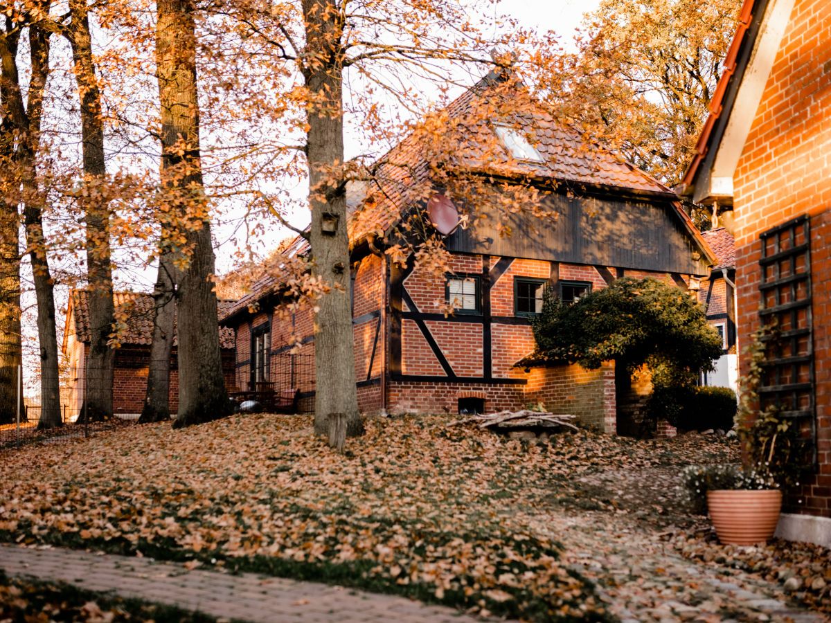 Traumhaus in der Lüneburger Heide 